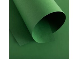 Papel Color Pop Verde Oliva - A4 - 180 g - 10 fls